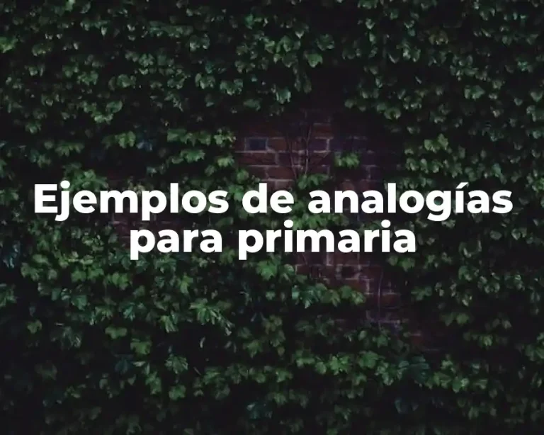 Ejemplos de analogías para primaria