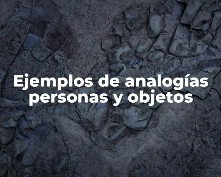 Ejemplos de analogías personas y objetos