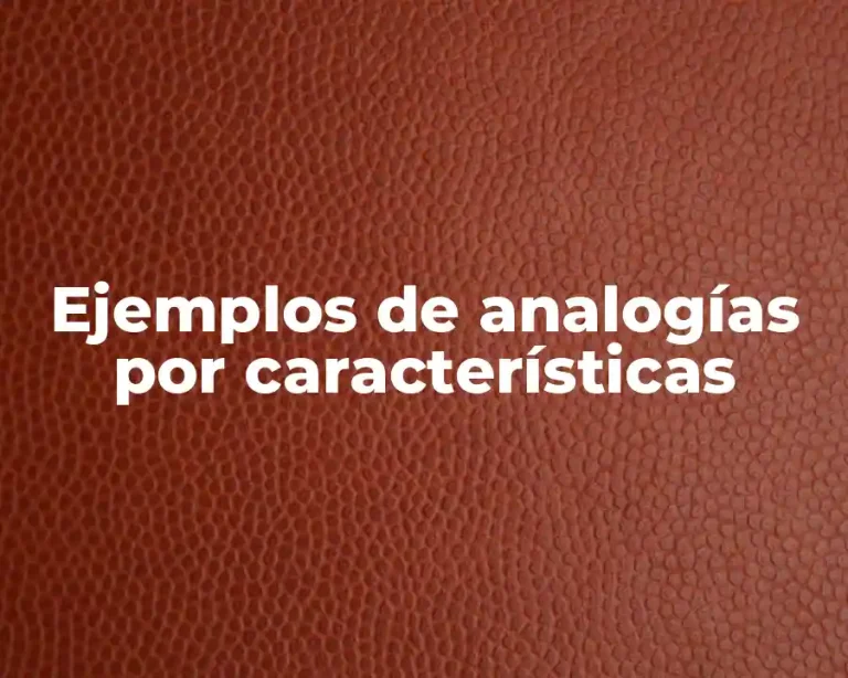 Ejemplos de analogías por características