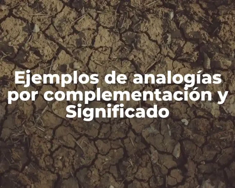 Ejemplos de analogías por complementación y Significado