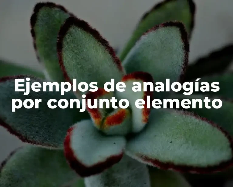 Ejemplos de analogías por conjunto elemento