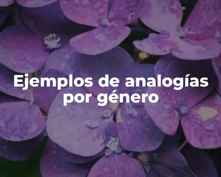 Ejemplos de analogías por género