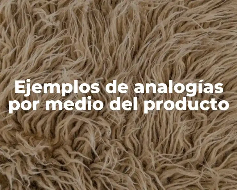Ejemplos de analogías por medio del producto