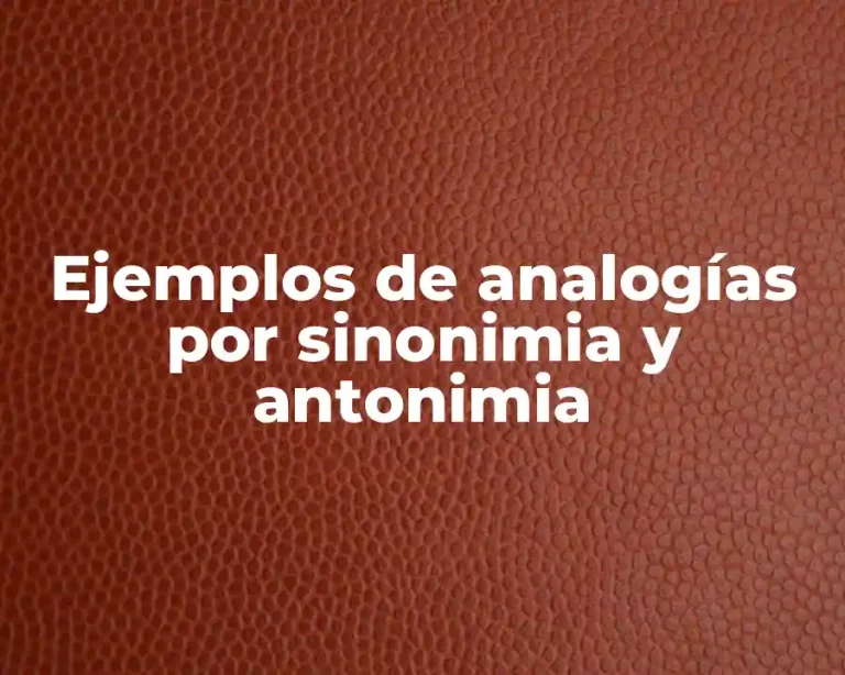 Ejemplos de analogías por sinonimia y antonimia