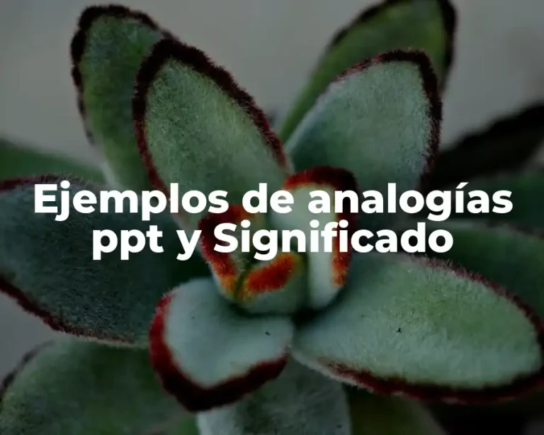 Ejemplos de analogías ppt y Significado
