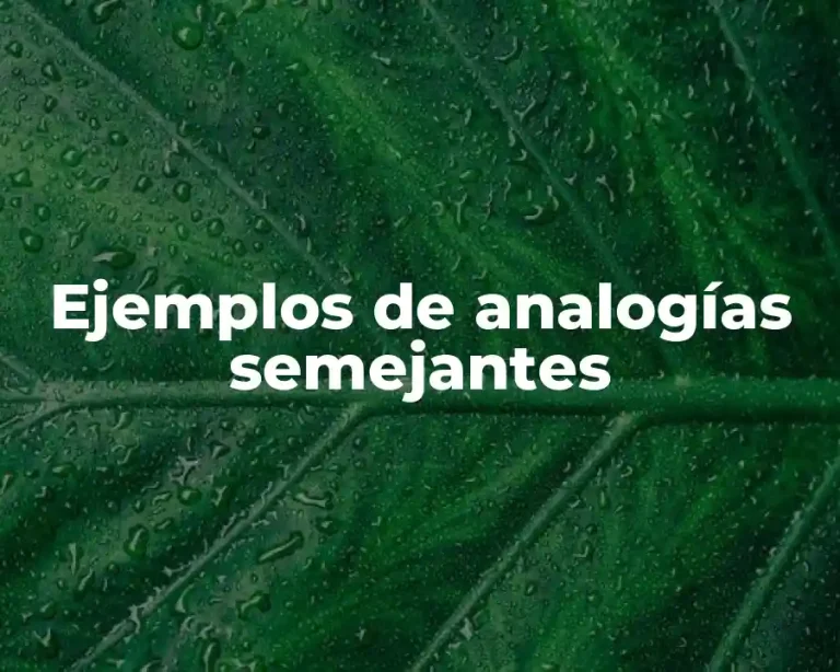 Ejemplos de analogías semejantes