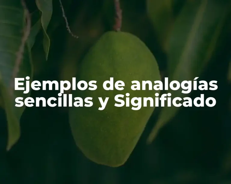 Ejemplos de analogías sencillas y Significado