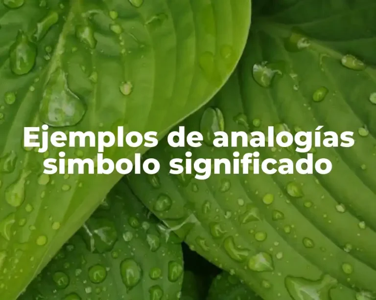 Ejemplos de analogías simbolo significado