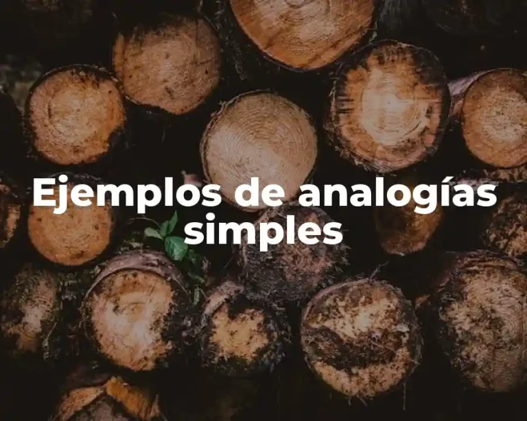 Ejemplos de analogías simples