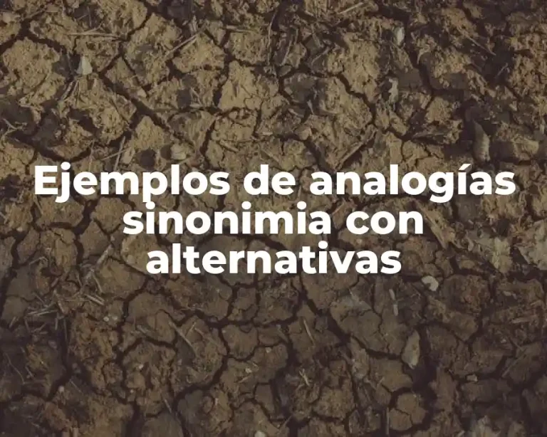 Ejemplos de analogías sinonimia con alternativas