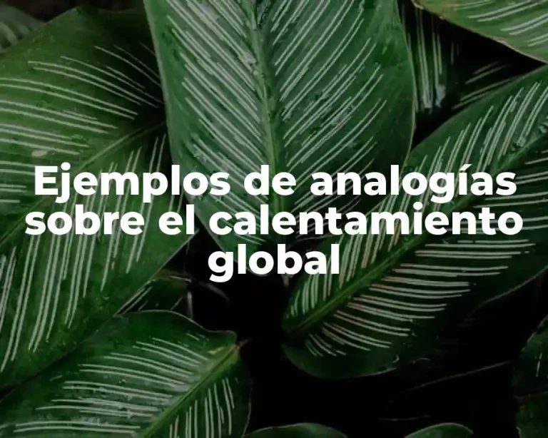 Ejemplos de analogías sobre el calentamiento global