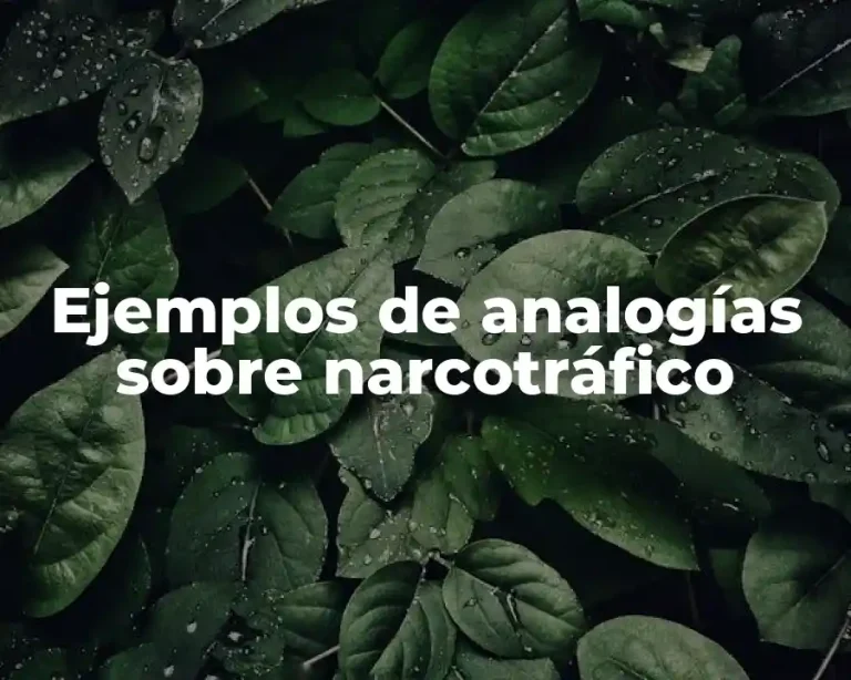 Ejemplos de analogías sobre narcotráfico