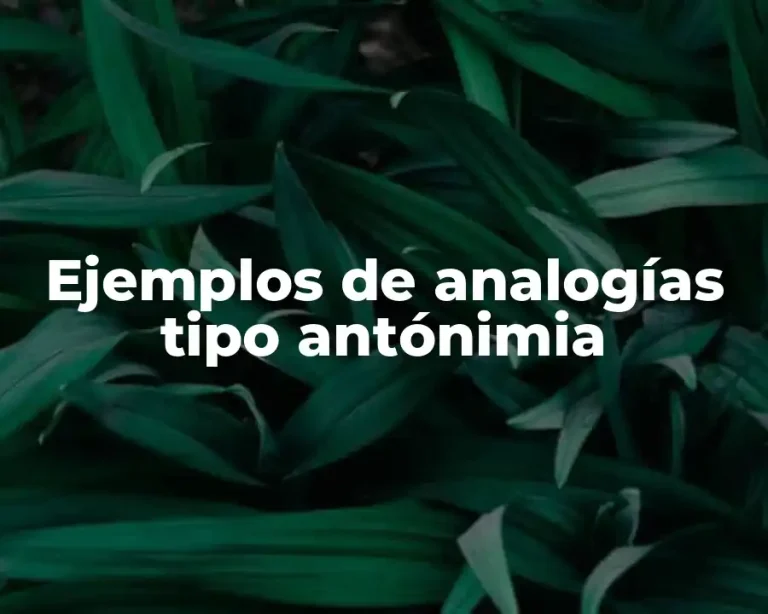 Ejemplos de analogías tipo antónimia