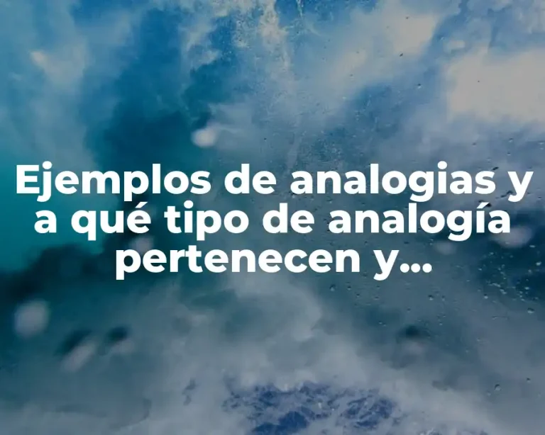 Ejemplos de analogias y a qué tipo de analogía pertenecen y Significado