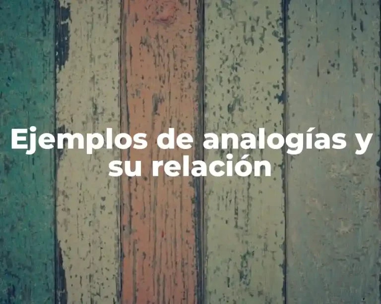 Ejemplos de analogías y su relación