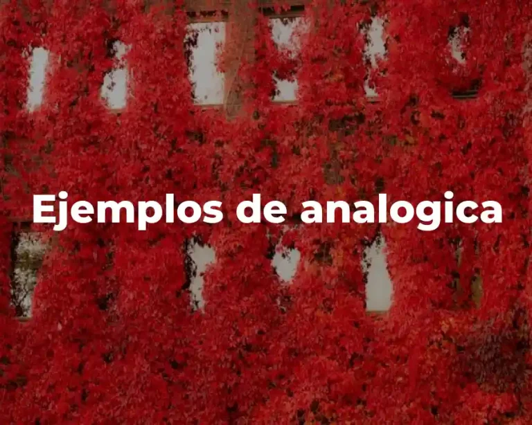 Ejemplos de analogica