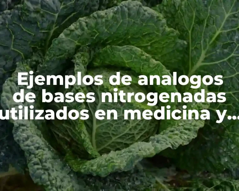 Ejemplos de analogos de bases nitrogenadas utilizados en medicina y Significado