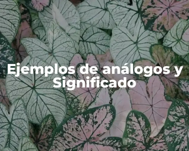 Ejemplos de análogos y Significado