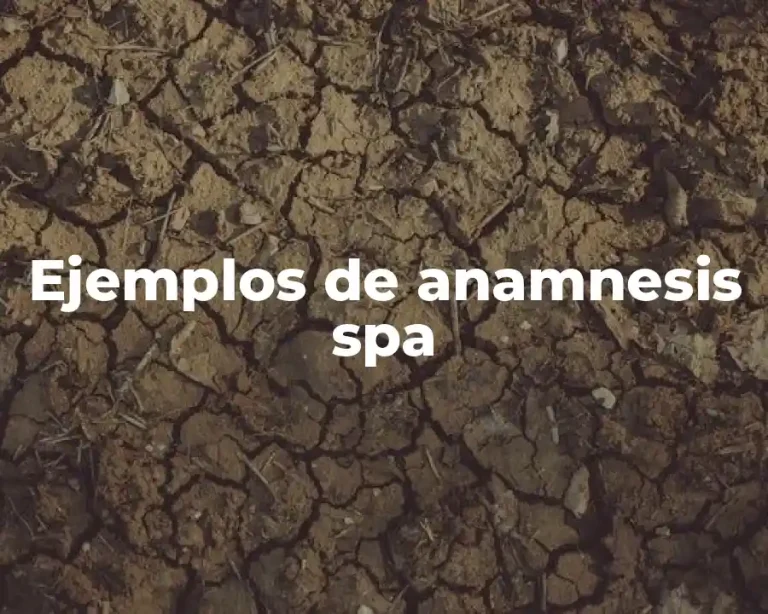 Ejemplos de anamnesis spa