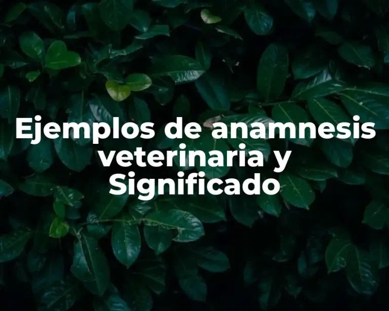 Ejemplos de anamnesis veterinaria y Significado