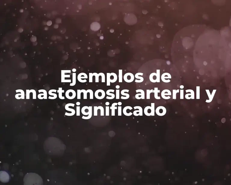 Ejemplos de anastomosis arterial y Significado