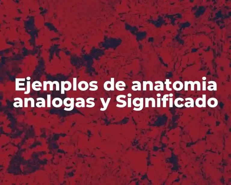 Ejemplos de anatomia analogas y Significado