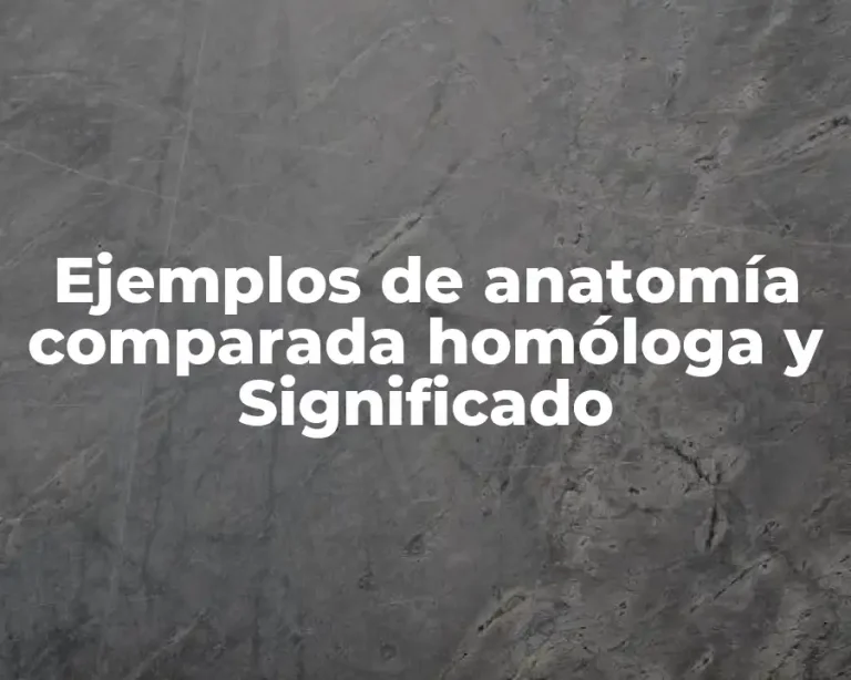 Ejemplos de anatomía comparada homóloga y Significado