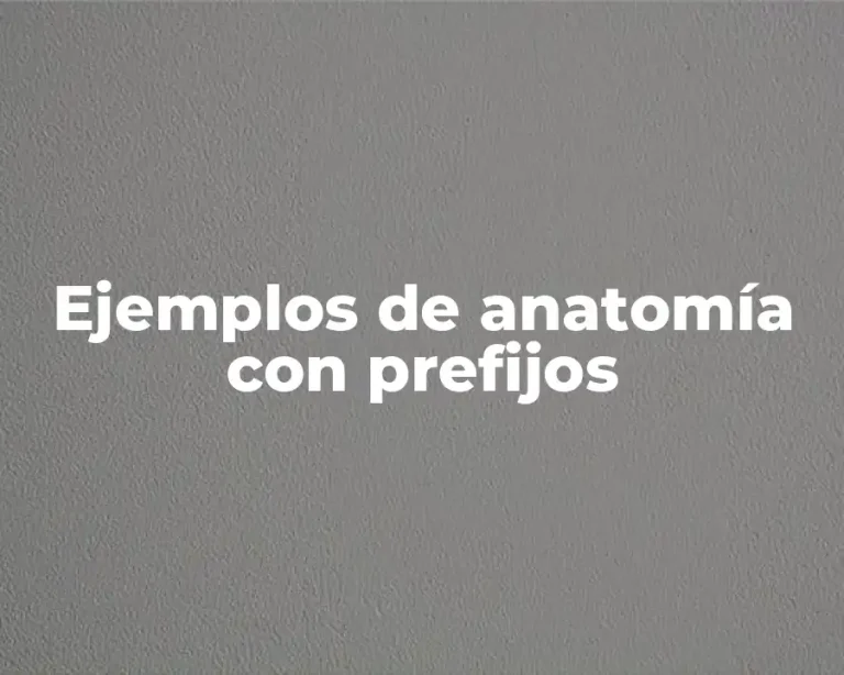 Ejemplos de anatomía con prefijos