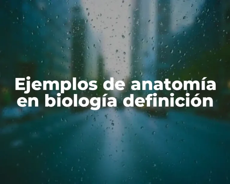 Ejemplos de anatomía en biología definición