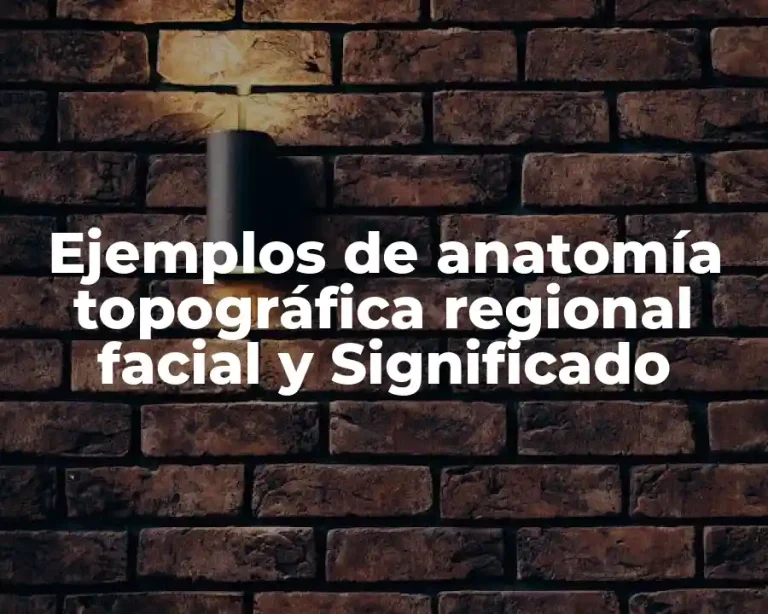 Ejemplos de anatomía topográfica regional facial y Significado