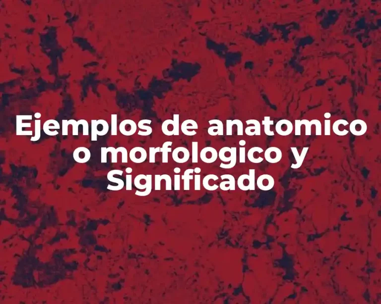 Ejemplos de anatomico o morfologico y Significado