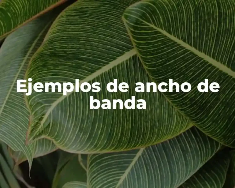Ejemplos de ancho de banda
