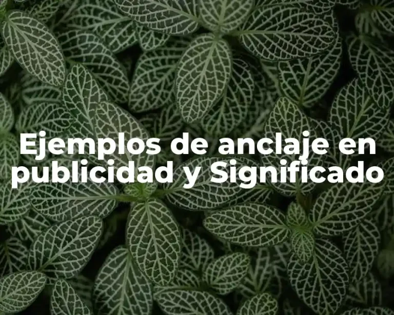 Ejemplos de anclaje en publicidad y Significado