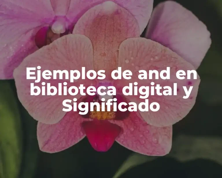 Ejemplos de and en biblioteca digital y Significado