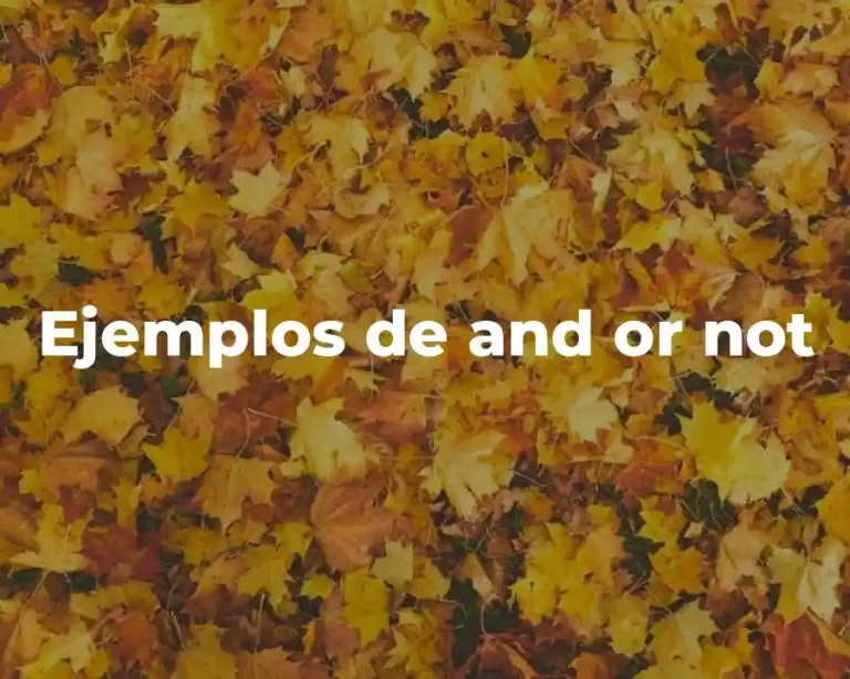 Ejemplos de and or not