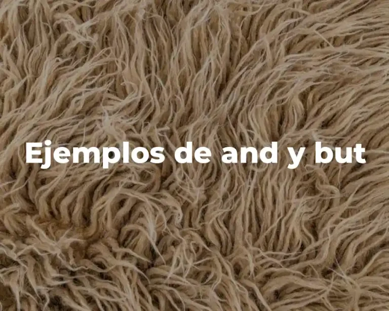 Ejemplos de and y but