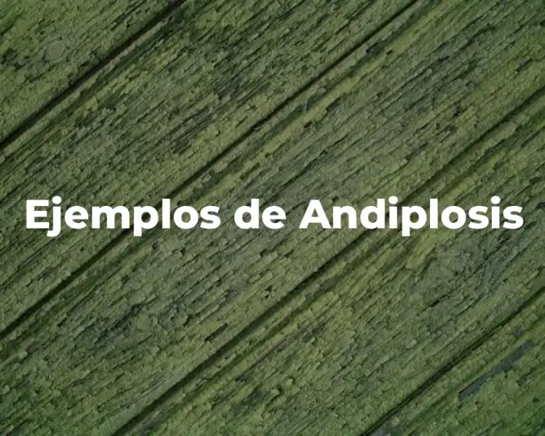 Ejemplos de Andiplosis
