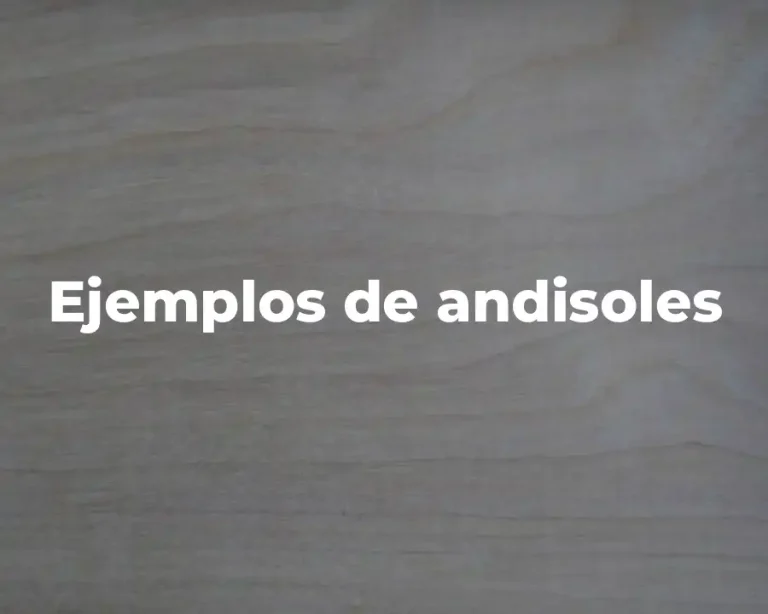 Ejemplos de andisoles
