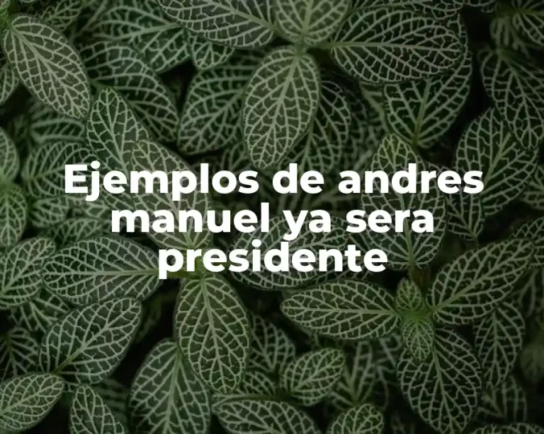Ejemplos de andres manuel ya sera presidente
