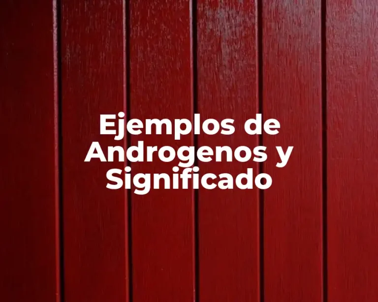 Ejemplos de Androgenos y Significado