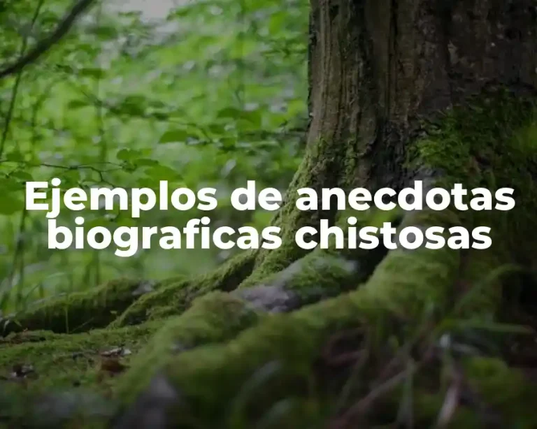 Ejemplos de anecdotas biograficas chistosas