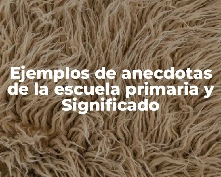 Ejemplos de anecdotas de la escuela primaria y Significado