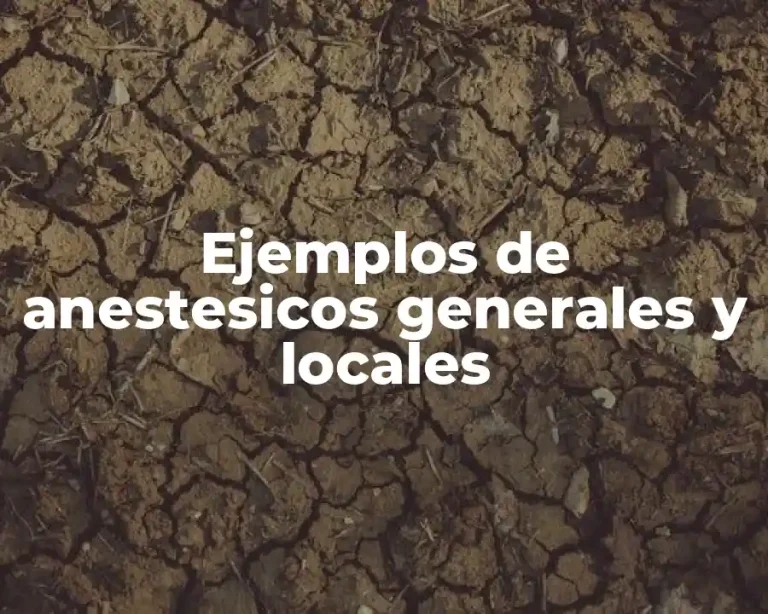 Ejemplos de anestesicos generales y locales
