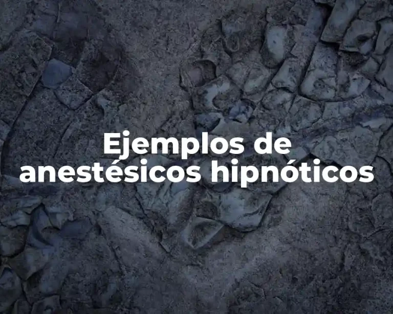 Ejemplos de anestésicos hipnóticos