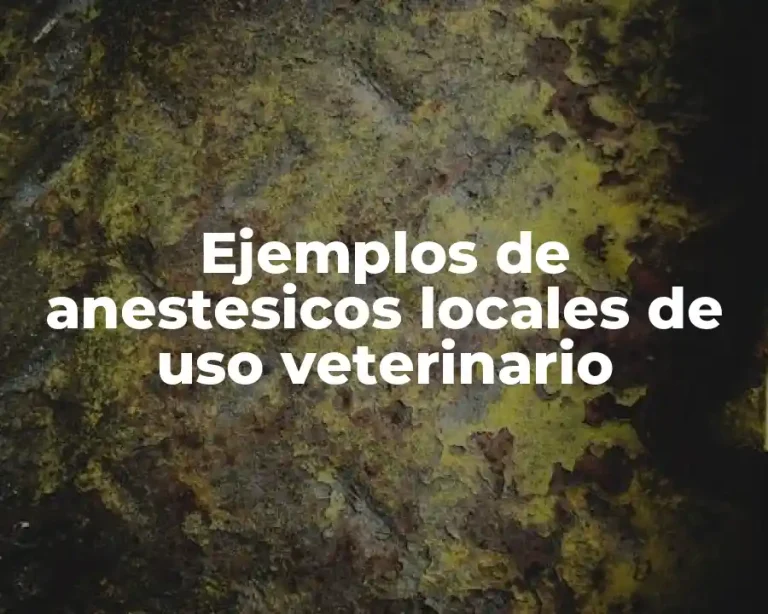 Ejemplos de anestesicos locales de uso veterinario