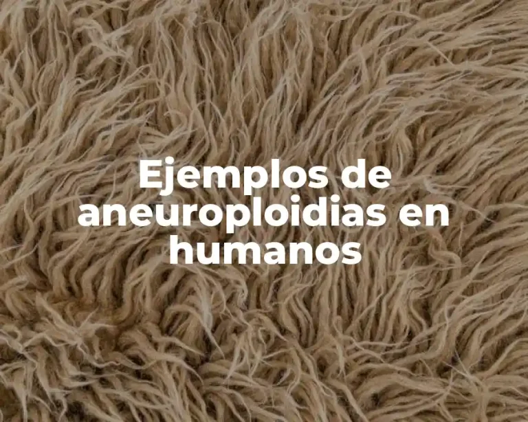 Ejemplos de aneuroploidias en humanos
