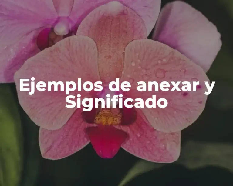 Ejemplos de anexar y Significado