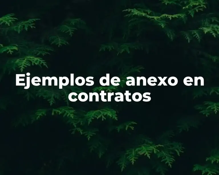 Ejemplos de anexo en contratos