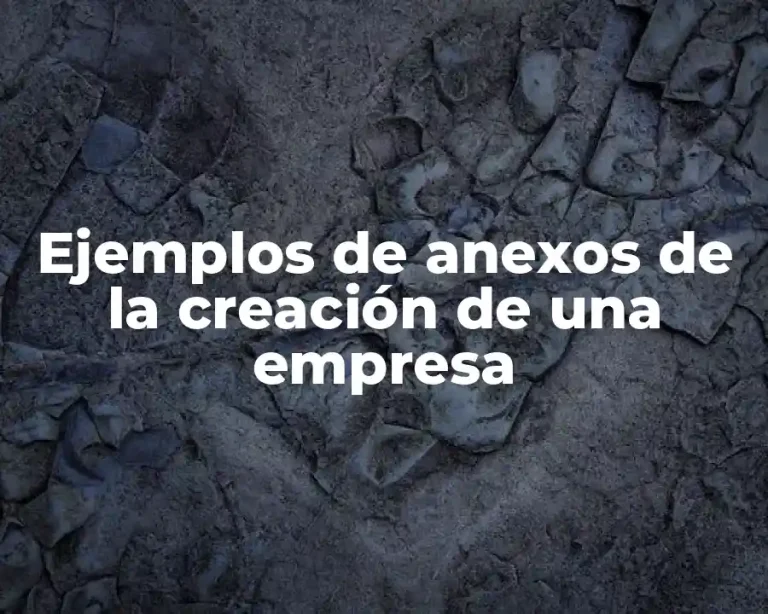 Ejemplos de anexos de la creación de una empresa