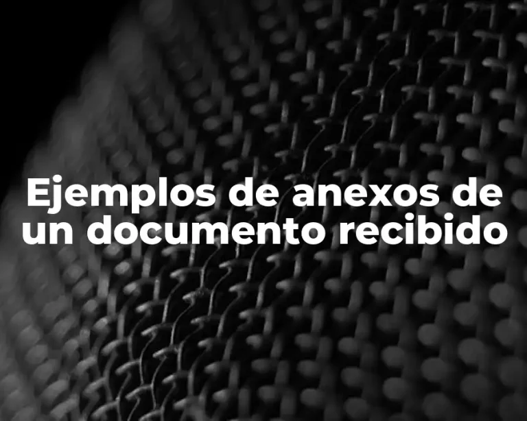 Ejemplos de anexos de un documento recibido